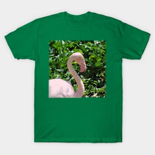 Flamingo Bird Photo T-Shirt